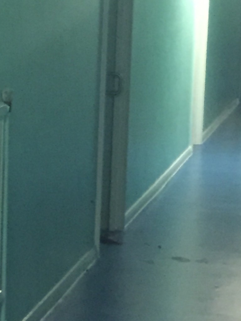 This may be very zoomed in but I wasn't going any closer