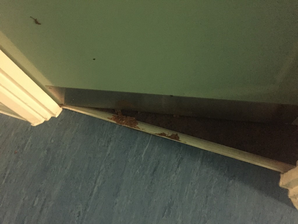 Smeared all over my floor