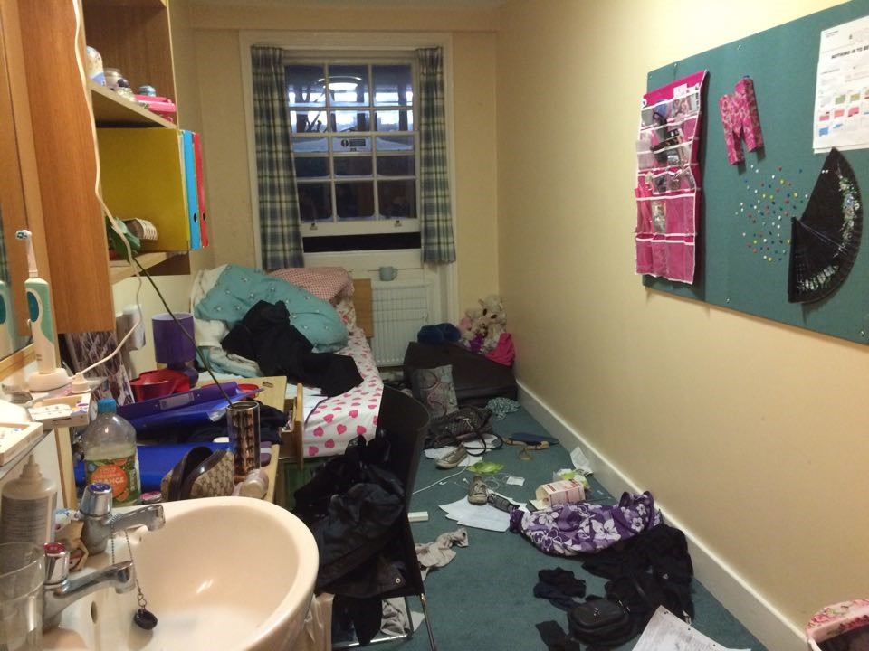 Basically a palace