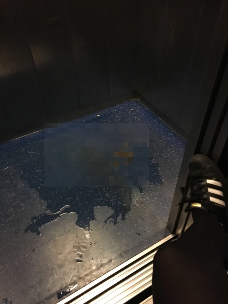 Poo