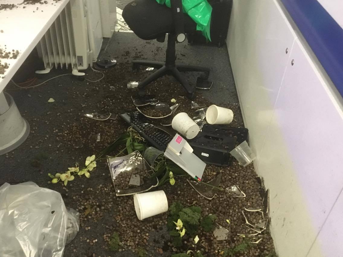 The plant pots were made of heavy ceramic