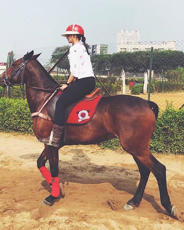 Image may contain: Equestrian, Mammal, Horse, Animal, Person, People, Human