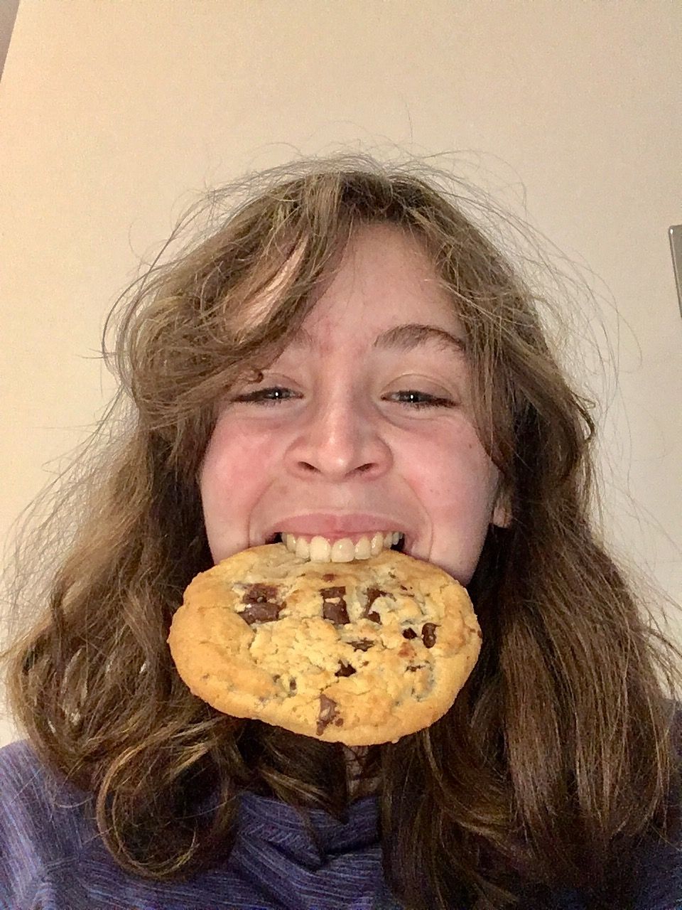 Image may contain: Cookie, Biscuit, Pie, Food, Dessert, Cake, Person, People, Human