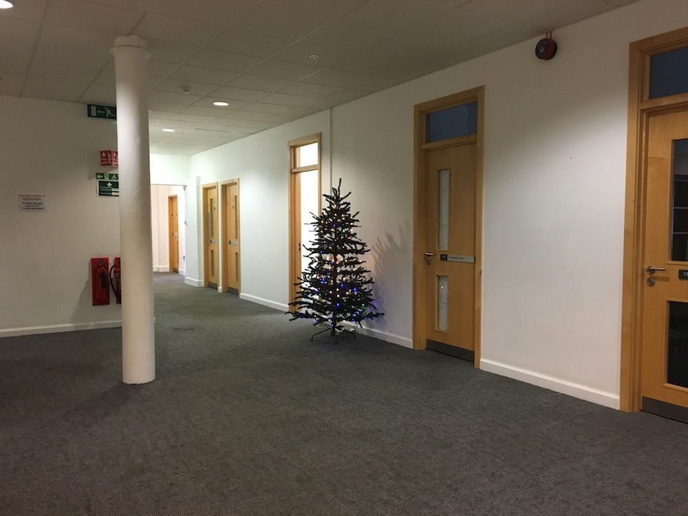 Image may contain: Indoors, Ornament, Door, Abies, Fir, Floor, Tree, Plant, Flooring