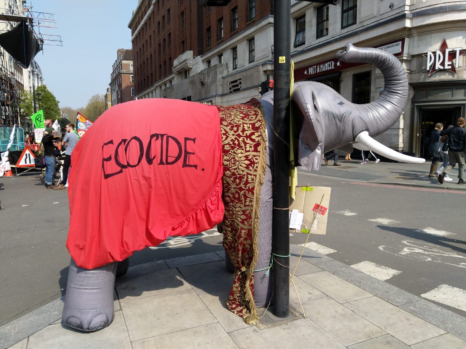 Image may contain: Long Sleeve, Sleeve, Road, Text, Footwear, Shoe, Clothing, Apparel, Reptile, Animal, Dinosaur, Tarmac, Asphalt, Pedestrian, Human, Person