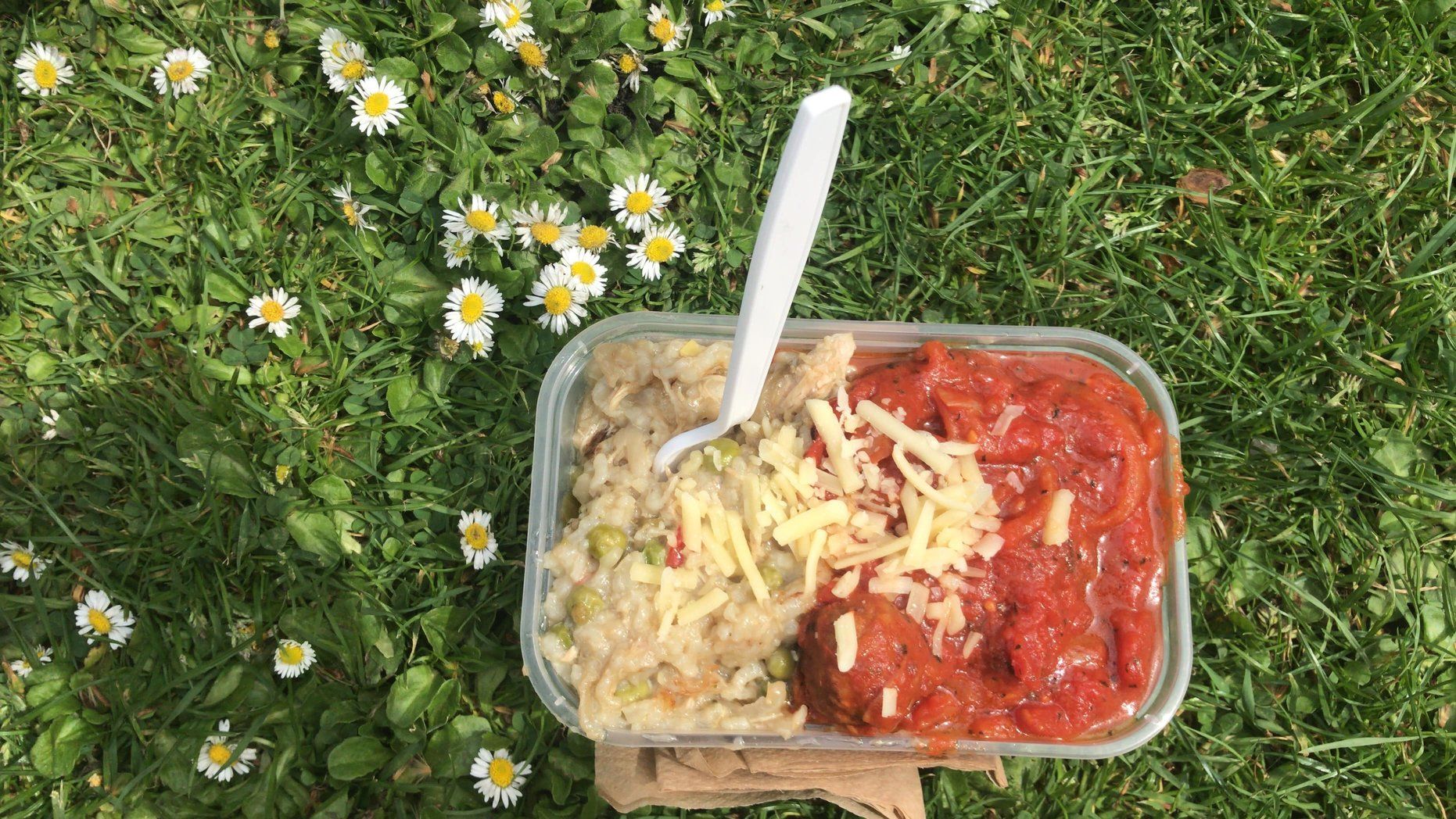 Image may contain: Pasta, Plant, Food