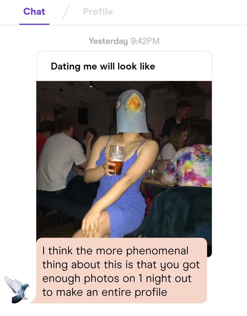 Image may contain: Beer, Alcohol, Beverage, Drink, Animal, Bird, Cushion, Helmet, Apparel, Clothing, Person, Human