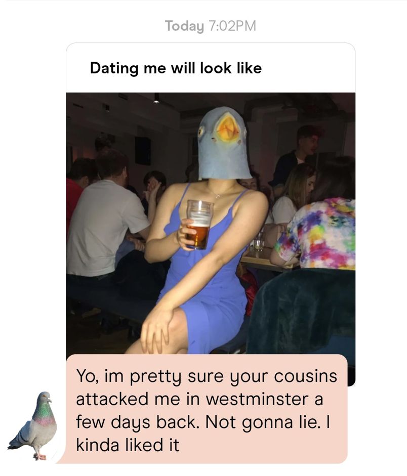 Image may contain: Helmet, Clothing, Apparel, Animal, Bird, Person, Human