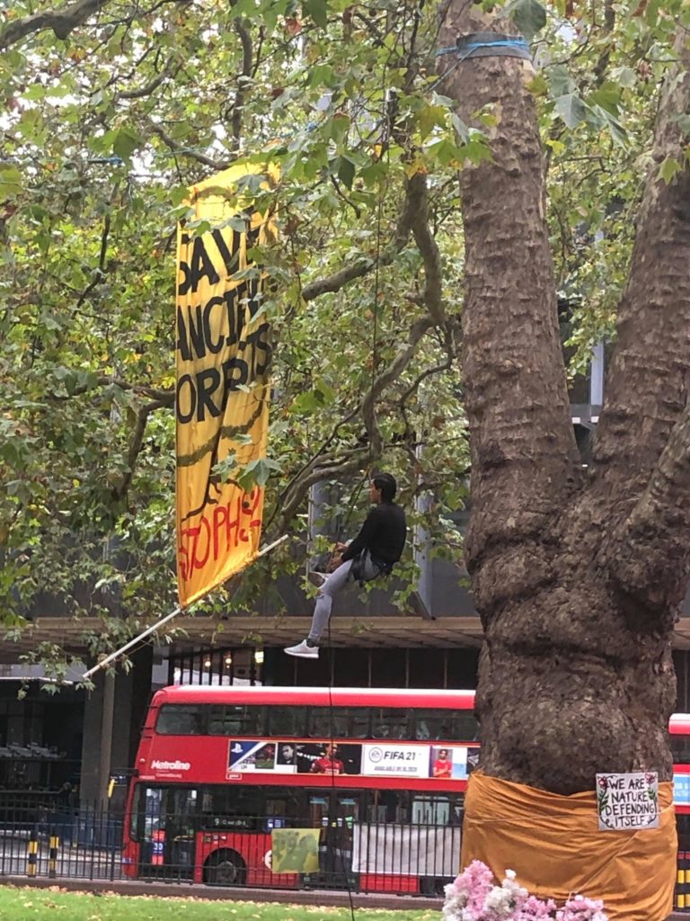 Tree protestor stop HS2 protest