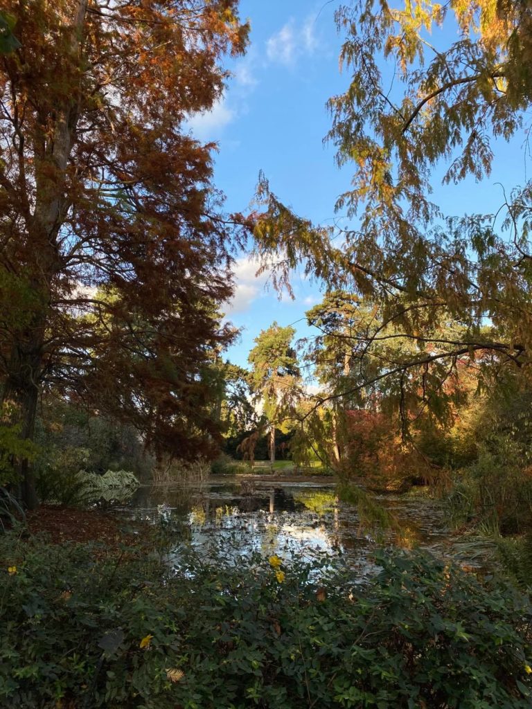 Kew Gardens