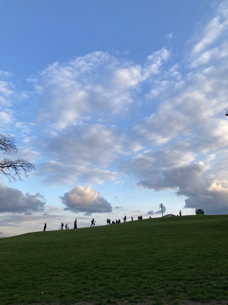 Primrose Hill