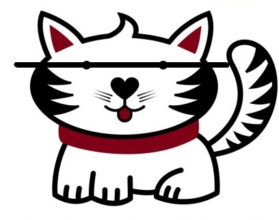 susu_cat