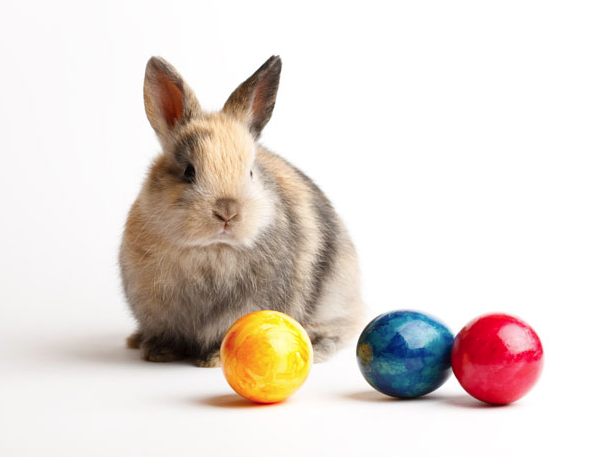 Easter Bunny