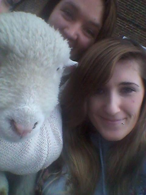 Petting zoo 2014 3