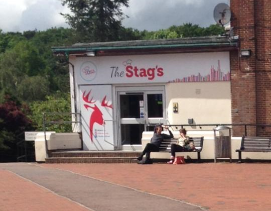 stag's