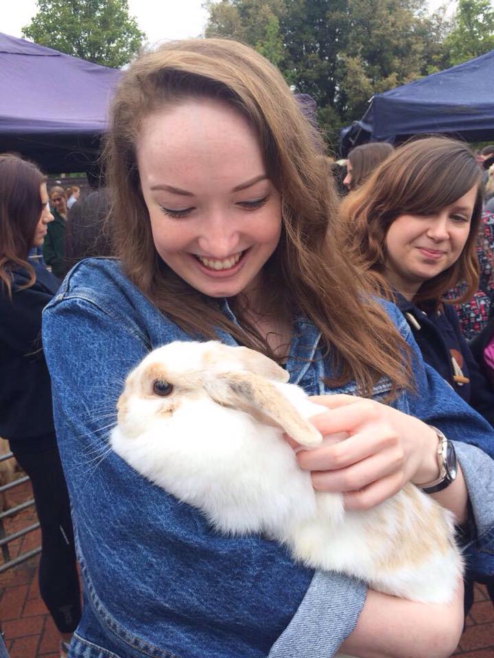 Petting zoo 11
