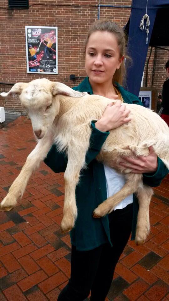 Petting zoo 13
