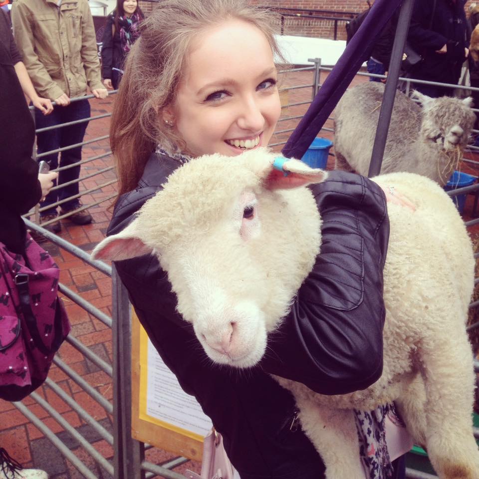 Petting zoo 17