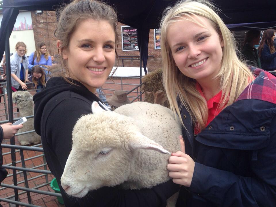 Petting zoo 19