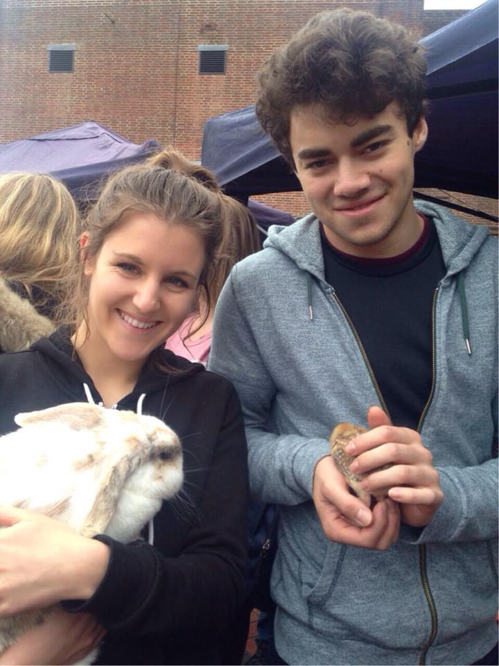 Petting zoo 22