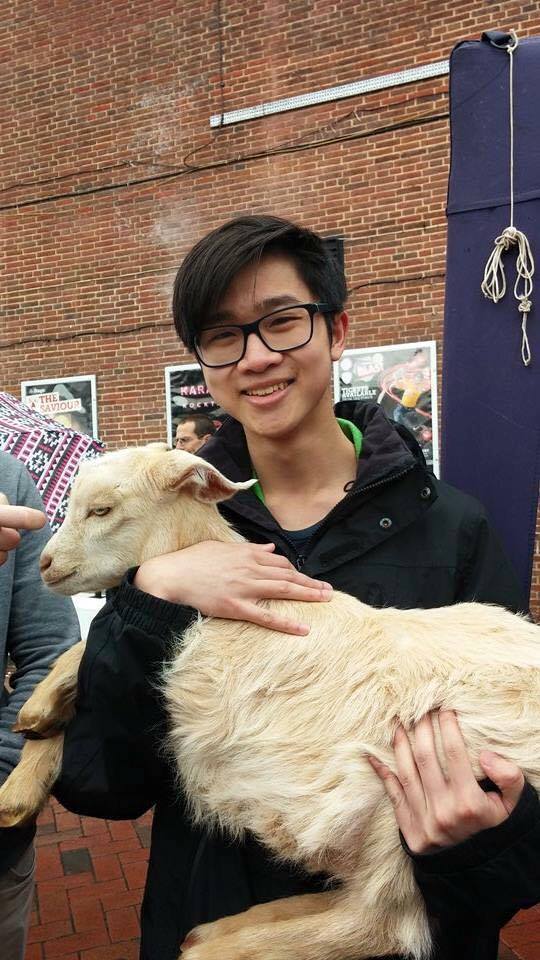 Petting zoo 24