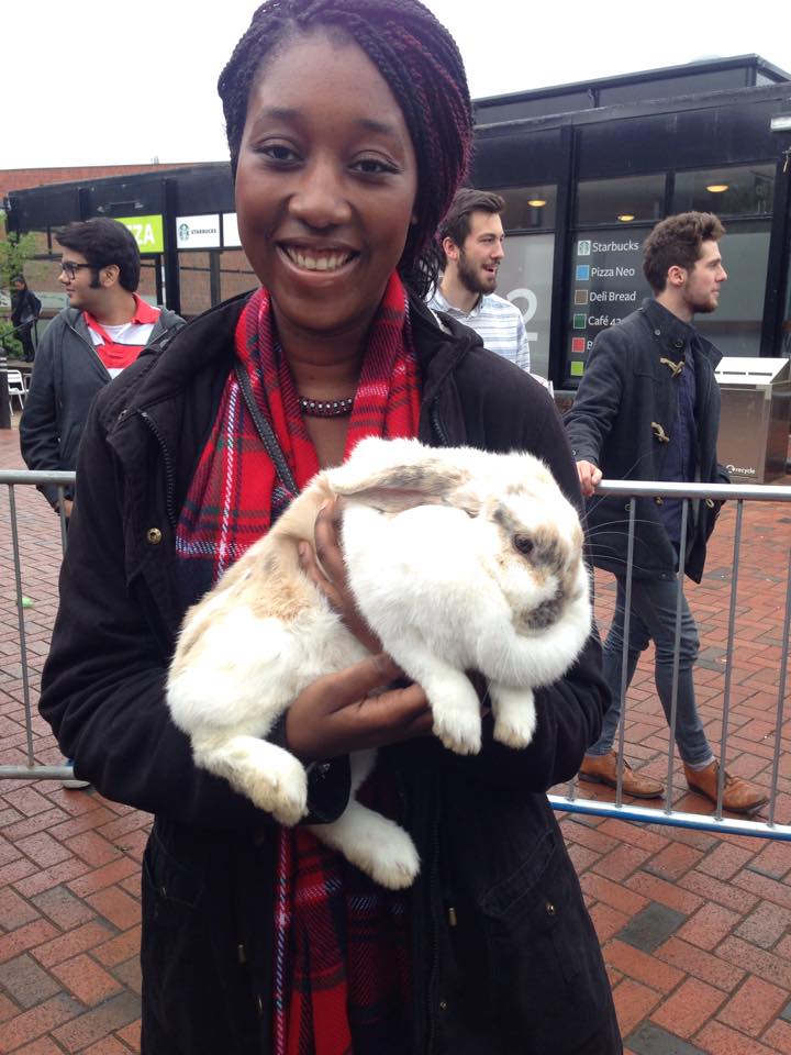 Petting zoo