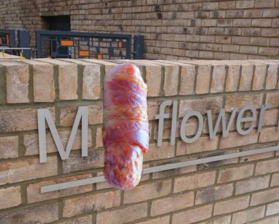 mayflower pig in blanket