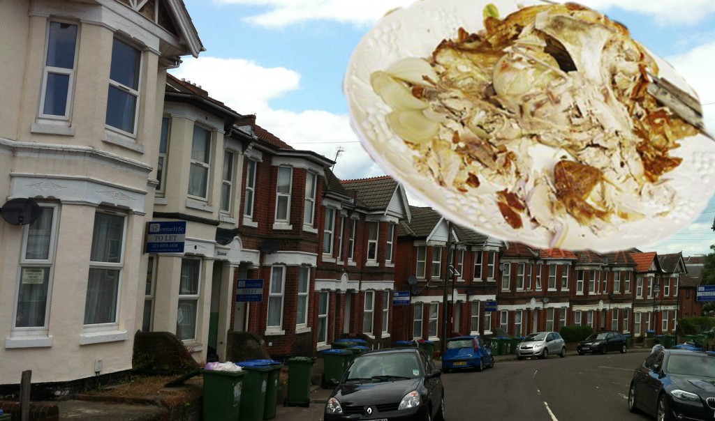 student houses left overs