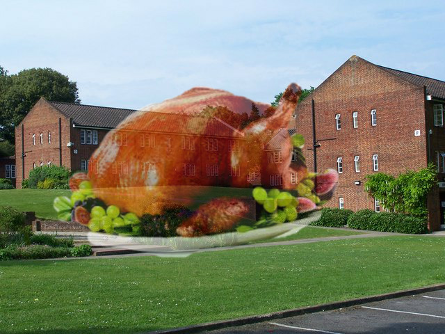 turkey glen