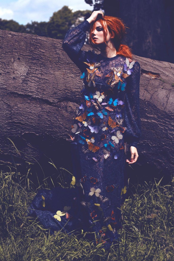 butterfly outside
