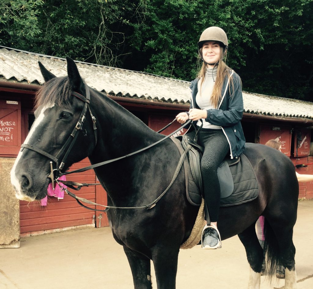 TAB new forest