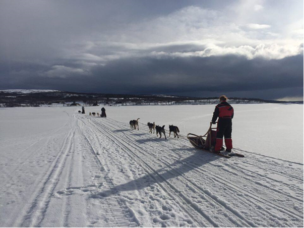 dogsledding 1