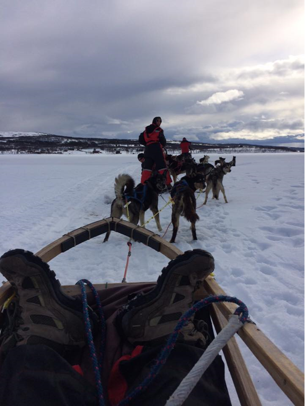 dogsledding 2