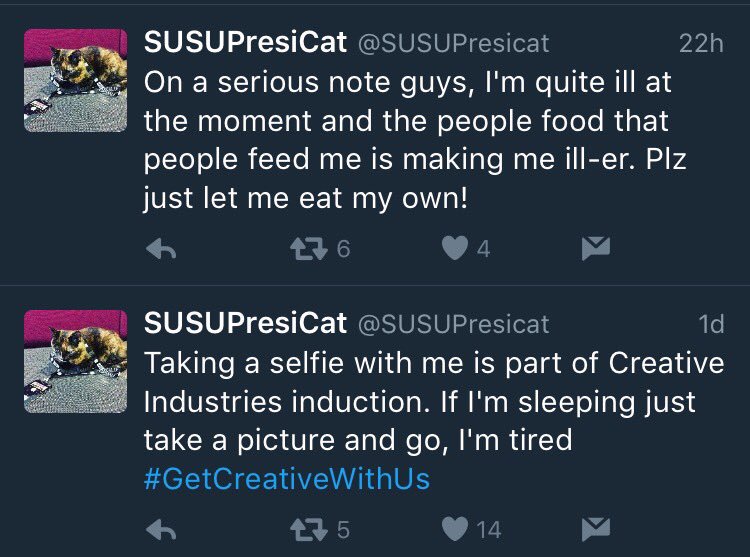 The since-deleted tweets indicate negligence in taking Susu's illness seriously