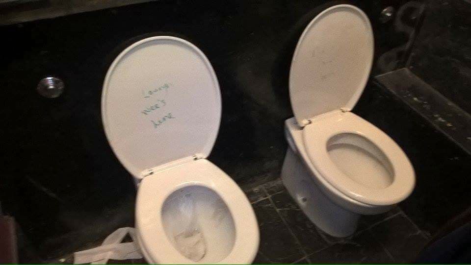 Image may contain: Toilet