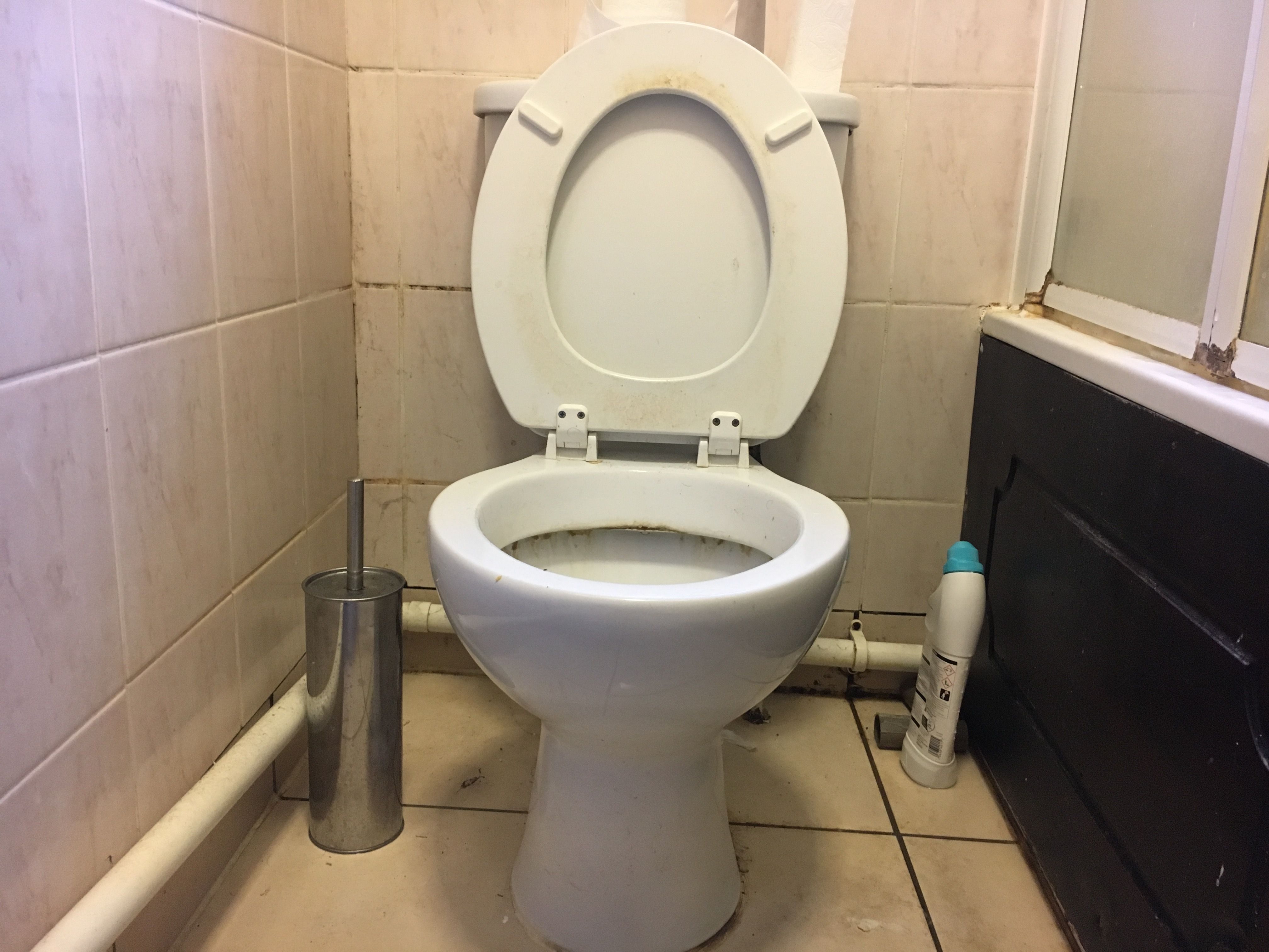 Image may contain: Room, Interior Design, Indoors, Bathroom, Toilet