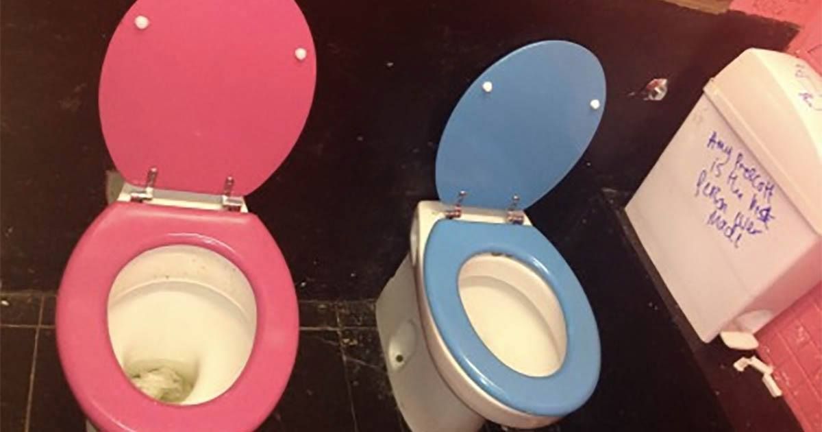 Image may contain: Toilet