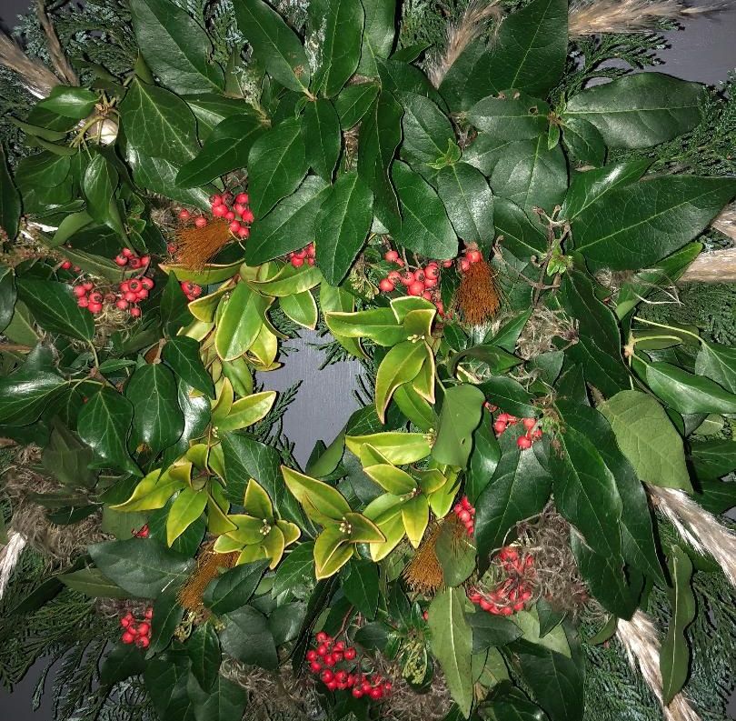 Image may contain: Blossom, Flower, Cherry, Leaf, Food, Fruit, Plant