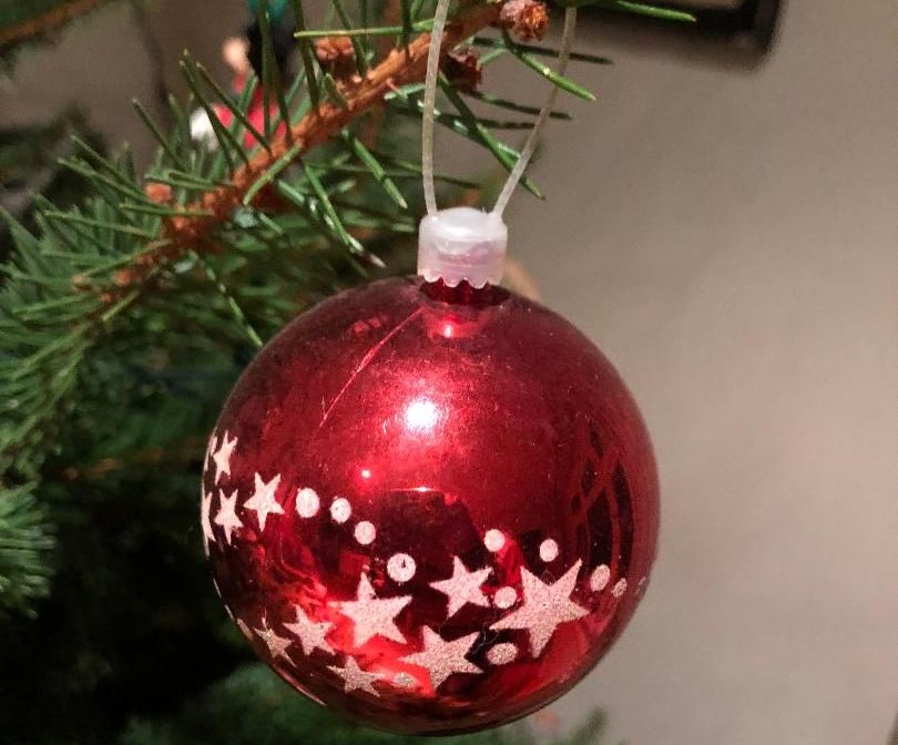 Image may contain: Plant, Tree, Ornament