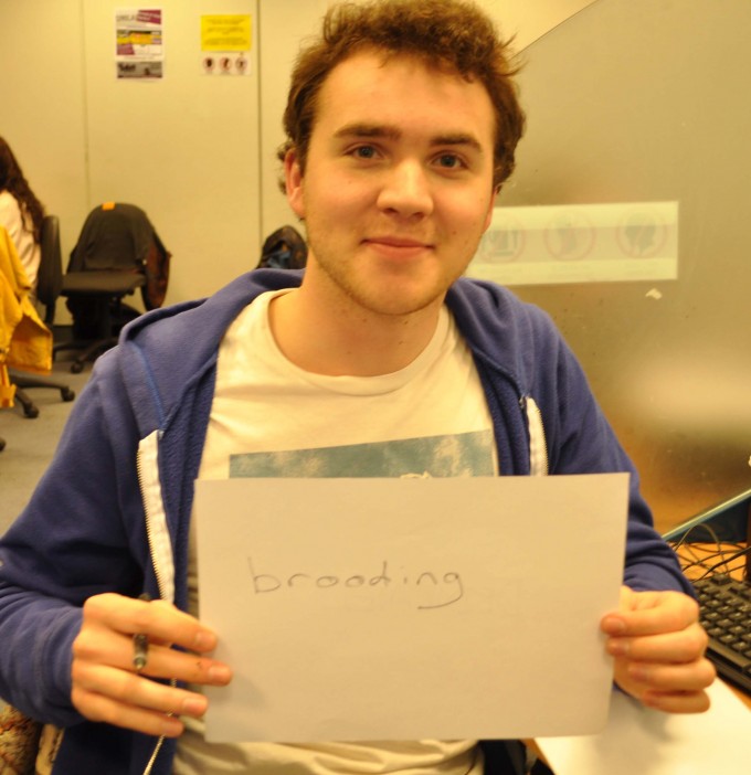 brood