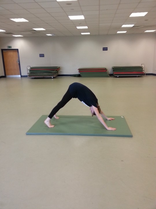 Downward Dog - as you can see I'm getting way better