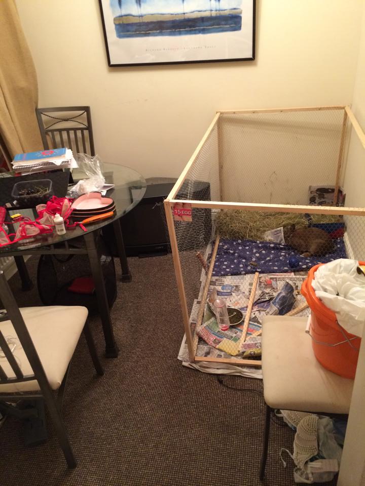 Where the magic happens