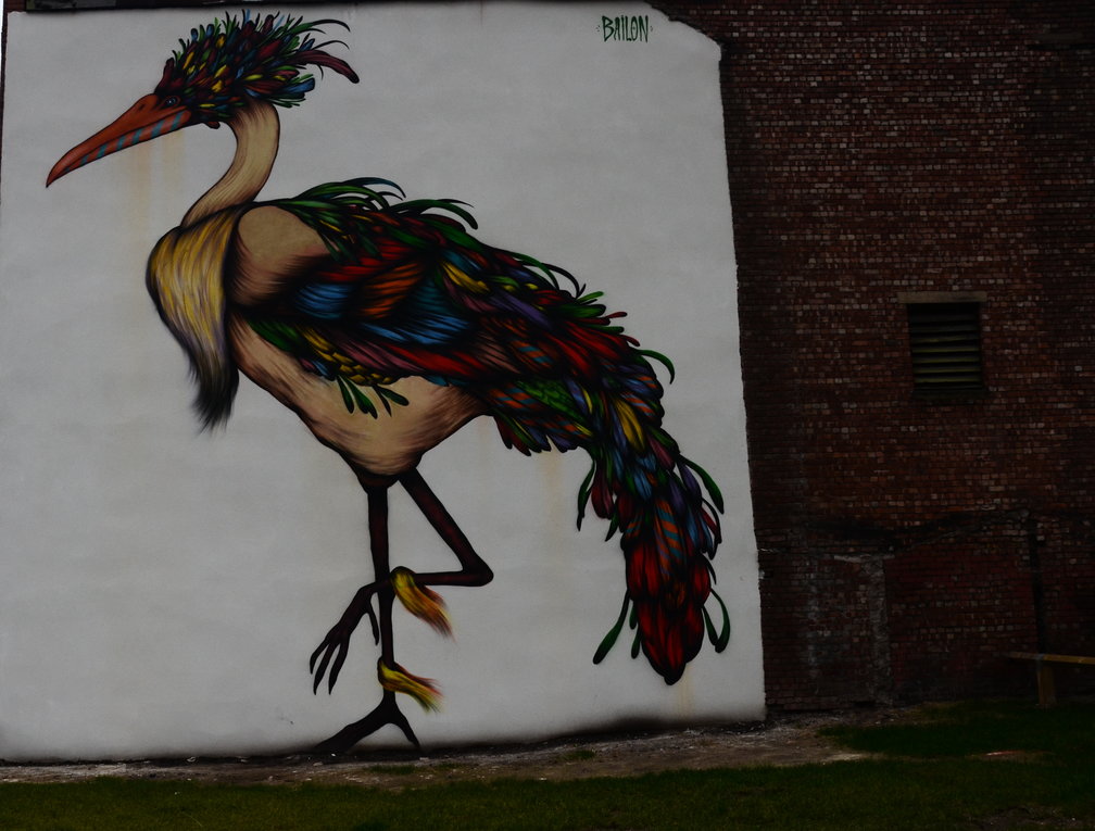 Look Mummy, a pretty bird!