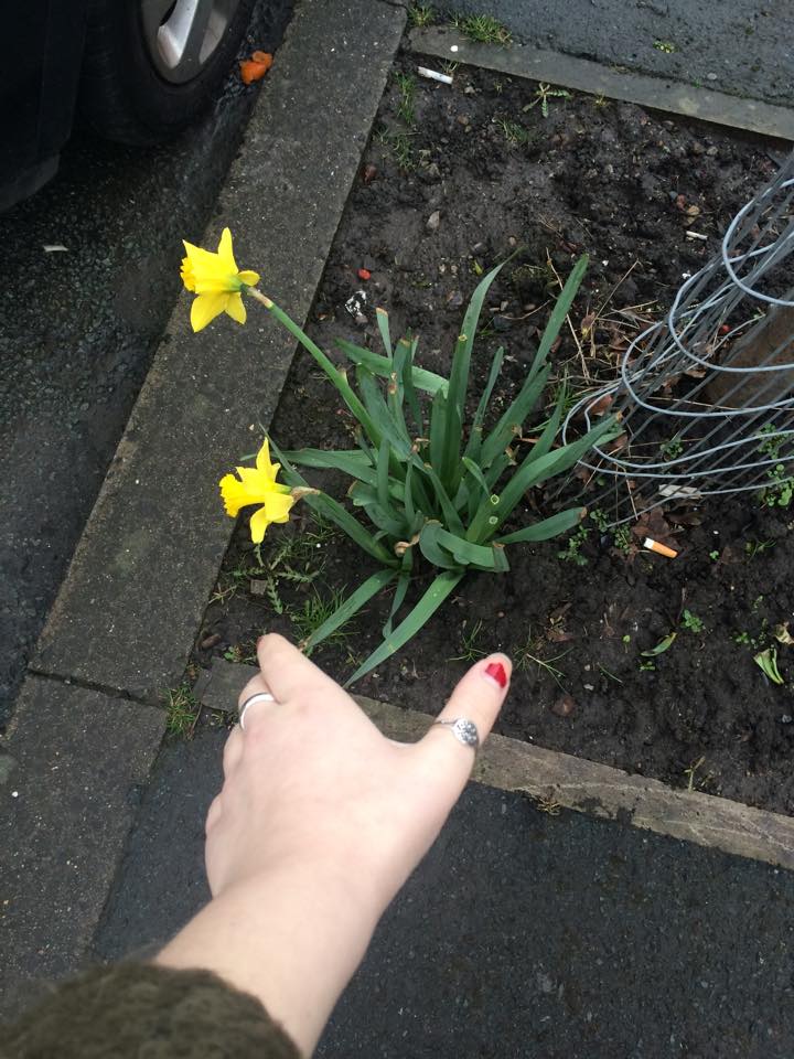 We found these beauties on Egerton Rd. 