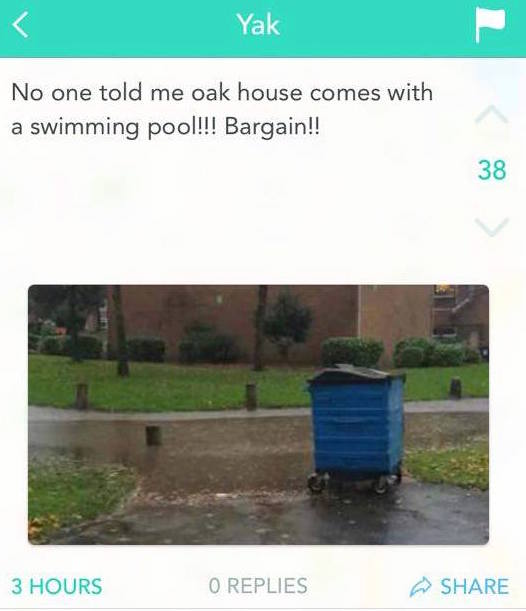 12305456_10207781109863499_1234818883_n
