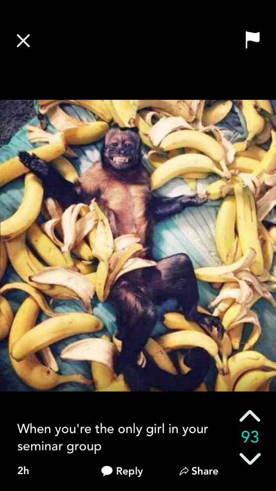 My bananas bring all the boys to the yard