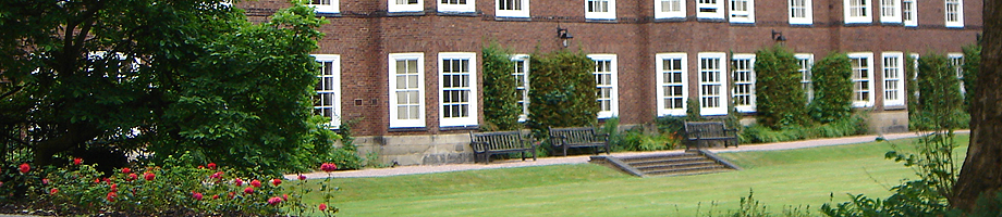 11395056013ashburne002