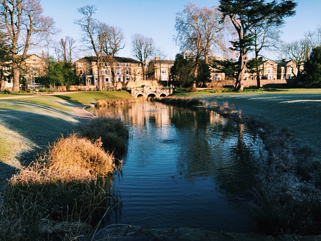 Walpole Park