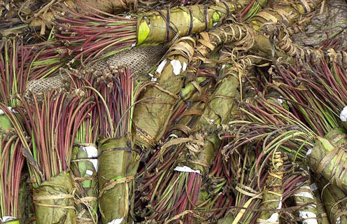 khat