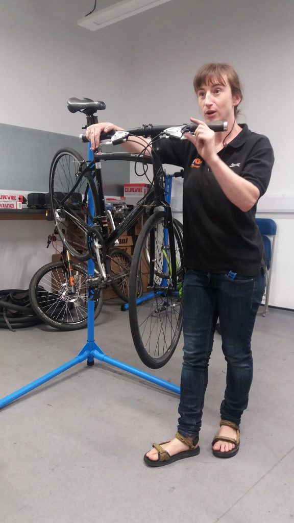 original-bike-maintenance-pic